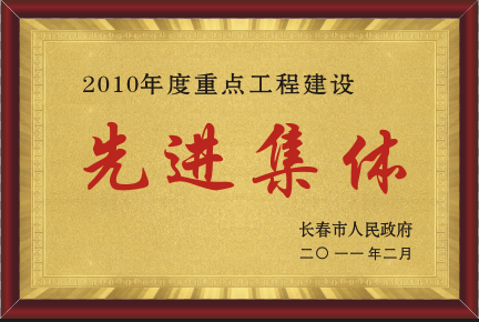 2011年先进整体