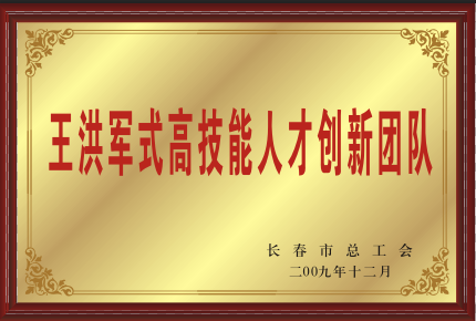 2009年王洪军式高手艺人才立异团队